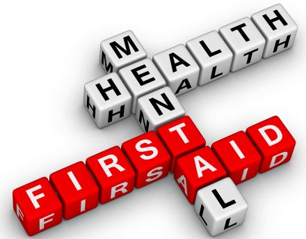 Mental Health First Aid via Webinar